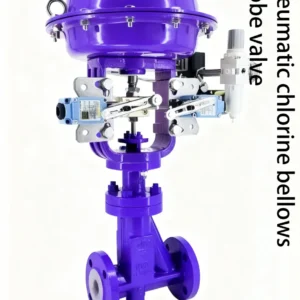 Control globe valve