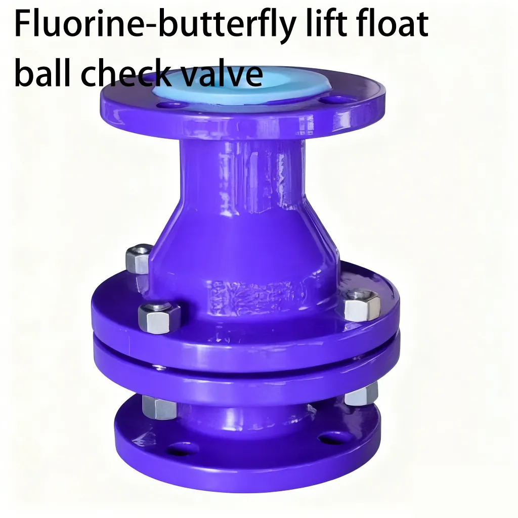 Fluorine lined check valve 10 图片高清处理及改色 2 3
