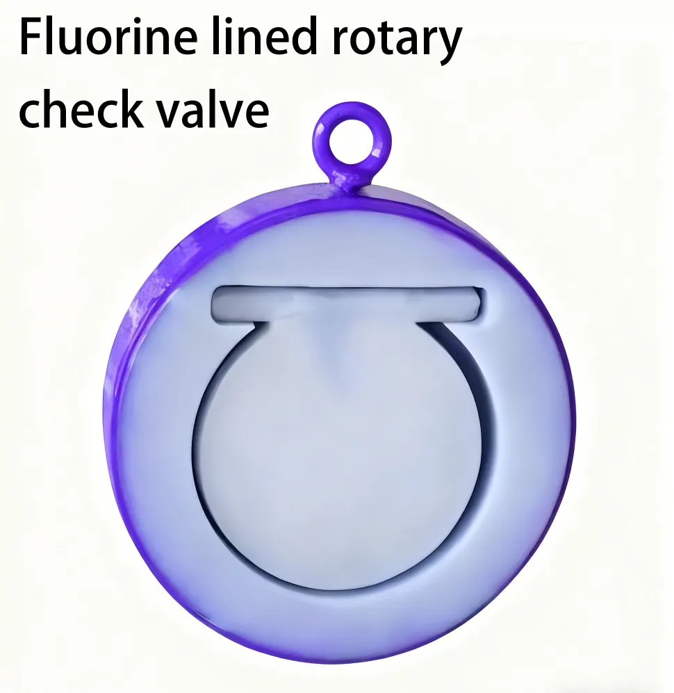 Fluorine lined check valve 2 Fluorine lined check valve - Image 2