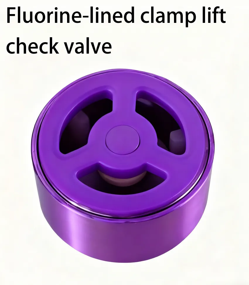 Fluorine lined check valve 3 Fluorine lined check valve - Image 3