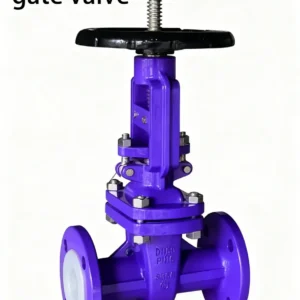 Fluorine lined gate valve